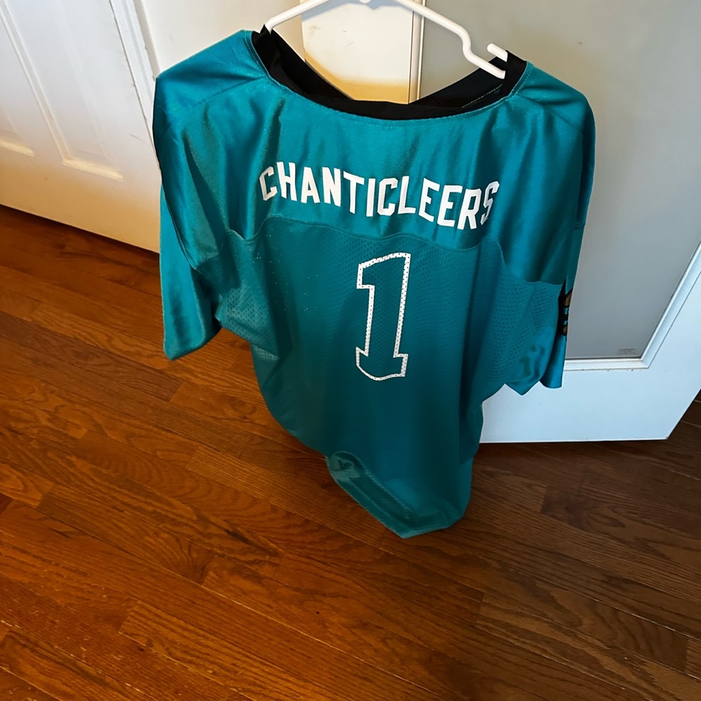 Teal Chanticleers Jersey